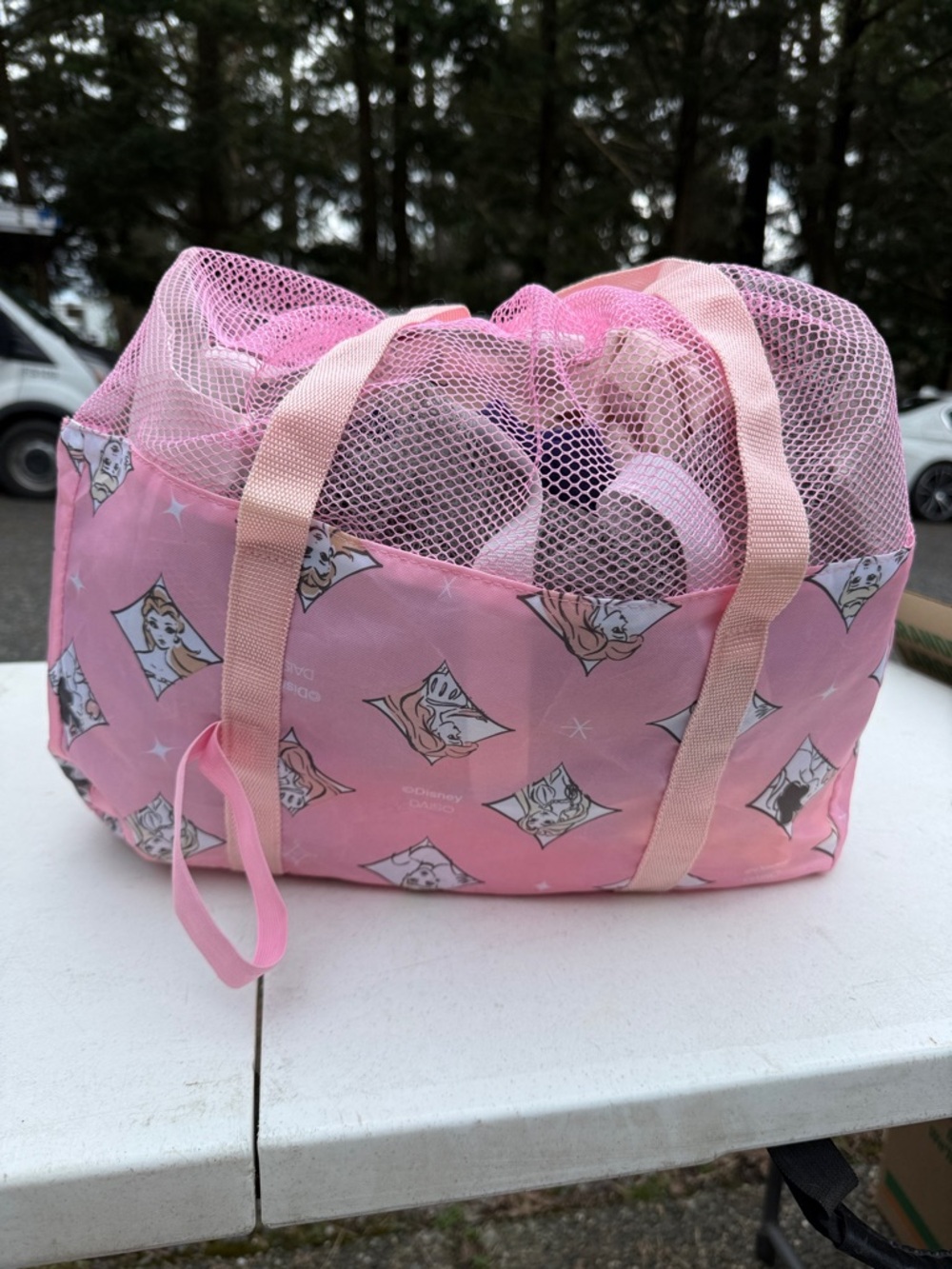 Pink Mesh Tote Bag with Disney Princesses
